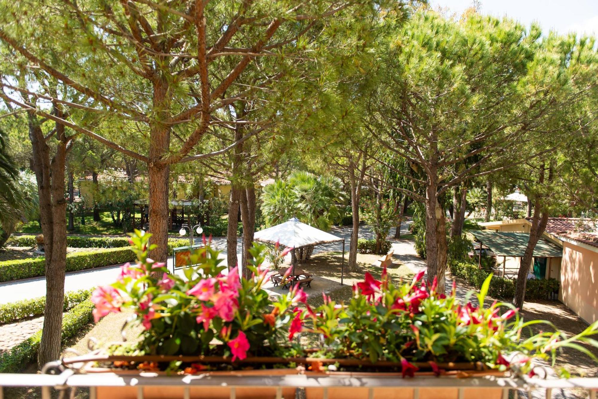 Salinello Village Sorrento Bilik gambar